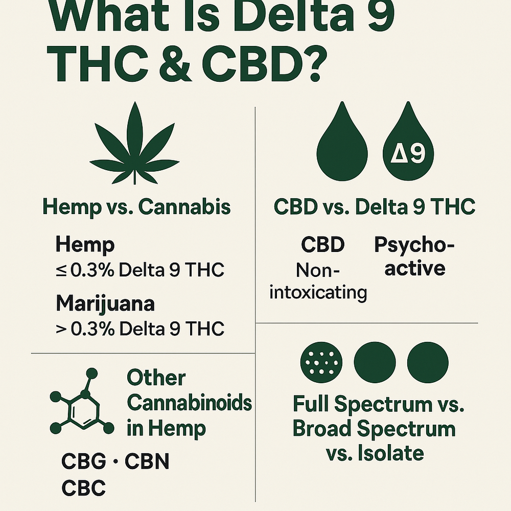 What Is Delta 9 THC & CBD? A Definitive Guide to Delta 9 (D9) & CBD