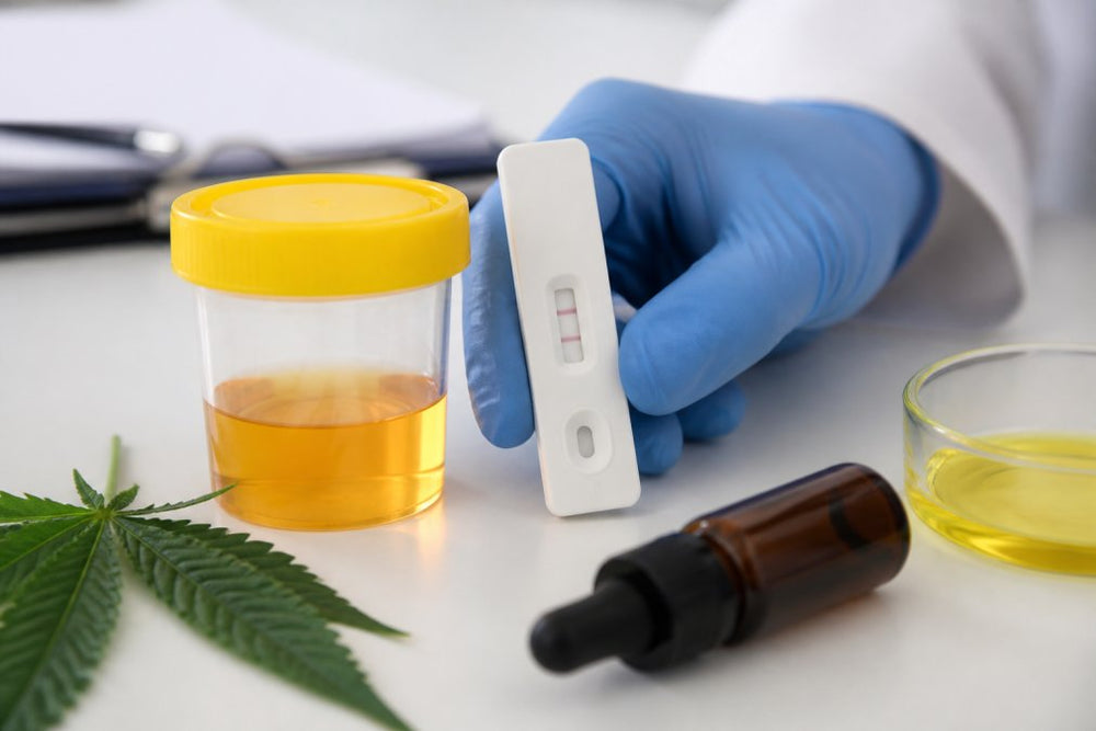Do Hemp Products Affect Drug Tests? What to Know
