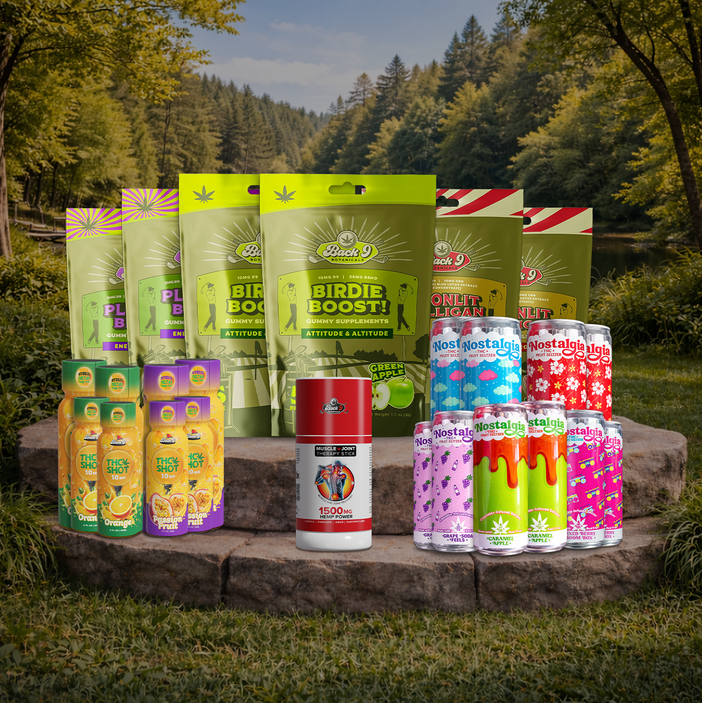 The Total Back 9 Wellness System