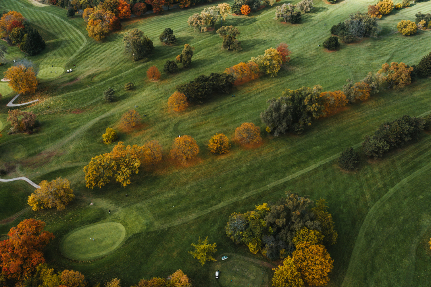 Aerial view of golf course